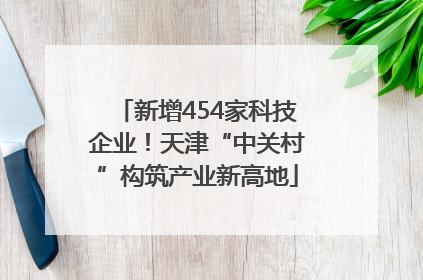 新增454家科技企业！天津“中关村”构筑产业新高地