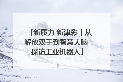 新质力 新津彩丨从解放双手到智慧大脑 探访工业机器人