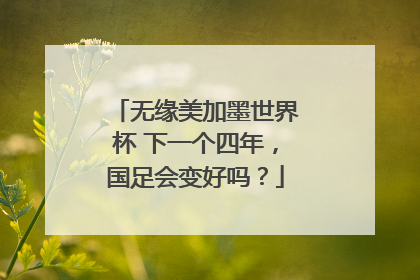 无缘美加墨世界杯 下一个四年，国足会变好吗？
