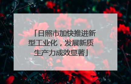 日照市加快推进新型工业化，发展新质生产力成效显著
