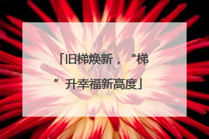 旧梯焕新，“梯”升幸福新高度