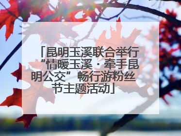 昆明玉溪联合举行“情暖玉溪・牵手昆明公交”畅行游粉丝节主题活动