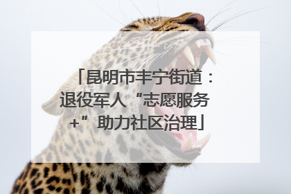 昆明市丰宁街道：退役军人“志愿服务+”助力社区治理