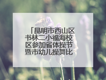 昆明市西山区书林二小福海校区参加省体操节暨市幼儿操舞比赛荣获佳绩