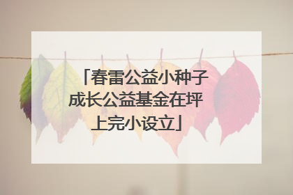 春雷公益小种子成长公益基金在坪上完小设立