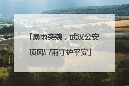 暴雨突袭，武汉公安顶风冒雨守护平安