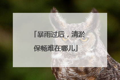 暴雨过后，清淤保畅难在哪儿