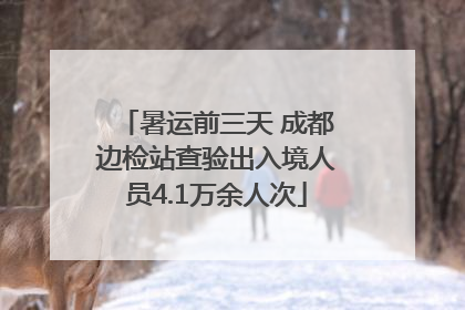 暑运前三天 成都边检站查验出入境人员4.1万余人次