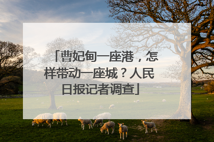 曹妃甸一座港，怎样带动一座城？人民日报记者调查