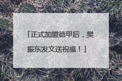 正式加盟德甲后，樊振东发文送祝福！