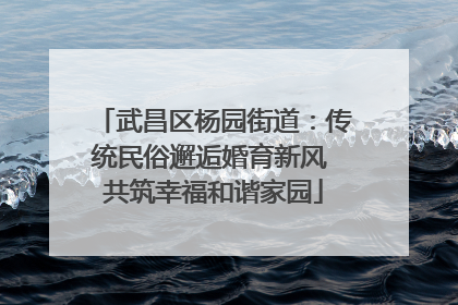 武昌区杨园街道：传统民俗邂逅婚育新风 共筑幸福和谐家园