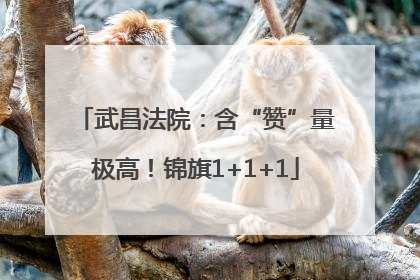 武昌法院：含“赞”量极高！锦旗1+1+1