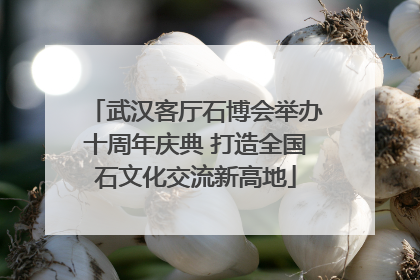 武汉客厅石博会举办十周年庆典 打造全国石文化交流新高地