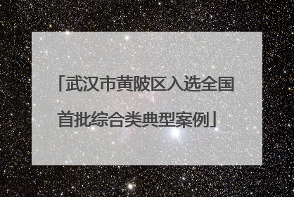 武汉市黄陂区入选全国首批综合类典型案例