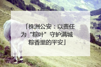 株洲公安：以责任为“粽叶”守护满城粽香里的平安