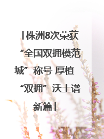 株洲8次荣获“全国双拥模范城”称号 厚植“双拥”沃土谱新篇