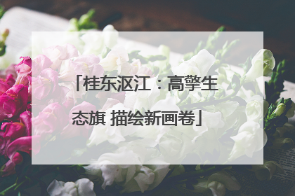 桂东沤江：高擎生态旗 描绘新画卷