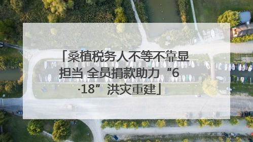 桑植税务人不等不靠显担当 全员捐款助力“6·18”洪灾重建