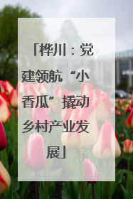 桦川：党建领航“小香瓜”撬动乡村产业发展