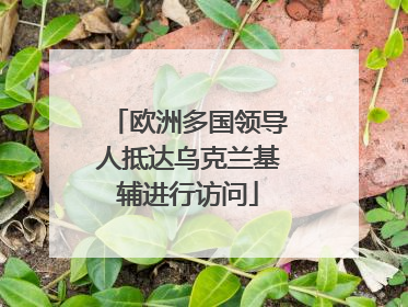 欧洲多国领导人抵达乌克兰基辅进行访问