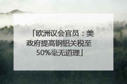 欧洲议会官员：美政府提高钢铝关税至50%毫无道理
