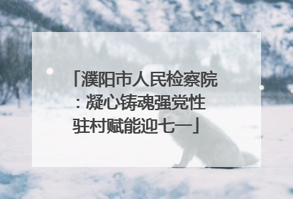濮阳市人民检察院：凝心铸魂强党性 驻村赋能迎七一