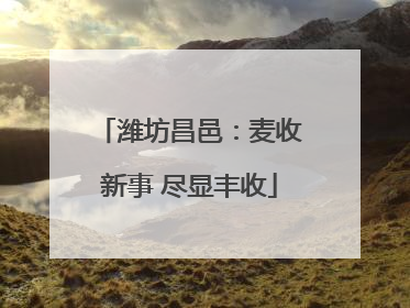 潍坊昌邑：麦收新事 尽显丰收
