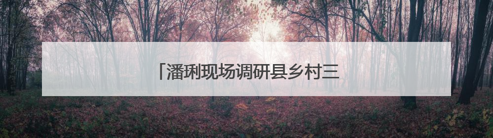 潘琍现场调研县乡村三级寄递物流体系工作