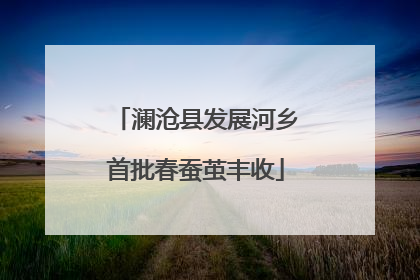 澜沧县发展河乡首批春蚕茧丰收