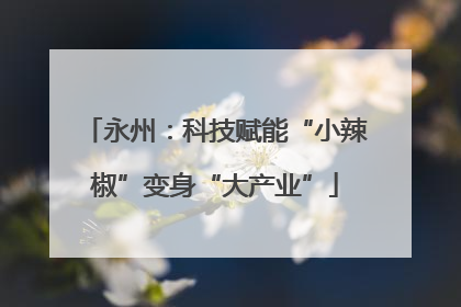 永州：科技赋能“小辣椒”变身“大产业”