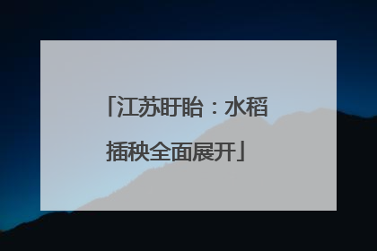 江苏盱眙：水稻插秧全面展开