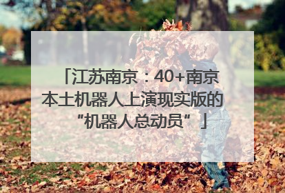 江苏南京：40+南京本土机器人上演现实版的“机器人总动员”