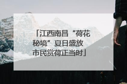 江西南昌“荷花秘境”夏日盛放 市民赏荷正当时