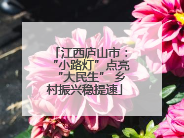 江西庐山市：“小路灯”点亮“大民生” 乡村振兴稳提速