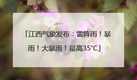 江西气象发布：雷阵雨！暴雨！大暴雨！最高35℃
