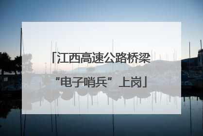 江西高速公路桥梁“电子哨兵”上岗