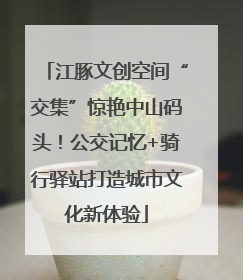 江豚文创空间“交集”惊艳中山码头！公交记忆+骑行驿站打造城市文化新体验