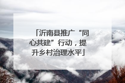 沂南县推广“同心共建”行动，提升乡村治理水平