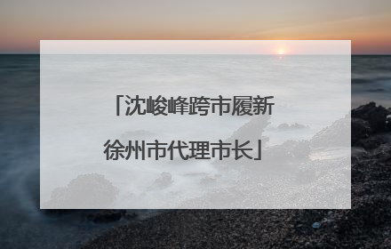 沈峻峰跨市履新徐州市代理市长