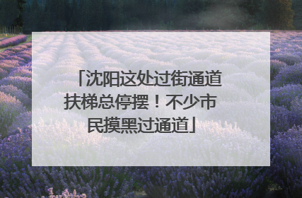 沈阳这处过街通道扶梯总停摆！不少市民摸黑过通道