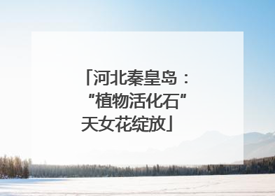 河北秦皇岛：“植物活化石”天女花绽放