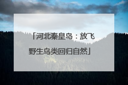 河北秦皇岛：放飞野生鸟类回归自然