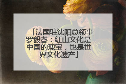 法国驻沈阳总领事罗毅睿：红山文化是中国的瑰宝，也是世界文化遗产