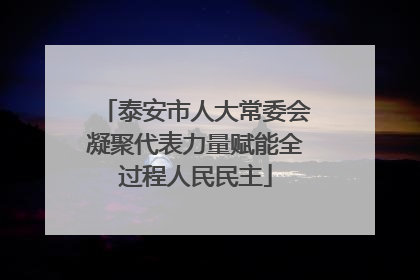 泰安市人大常委会凝聚代表力量赋能全过程人民民主
