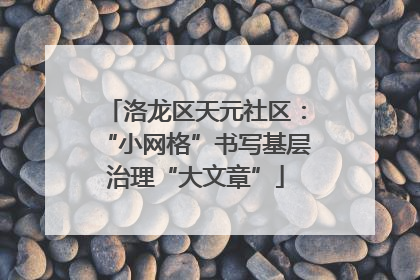 洛龙区天元社区：“小网格”书写基层治理“大文章”