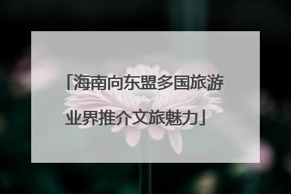 海南向东盟多国旅游业界推介文旅魅力