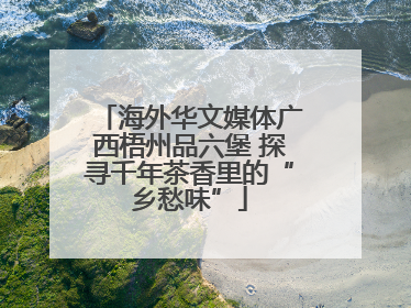海外华文媒体广西梧州品六堡 探寻千年茶香里的“乡愁味”