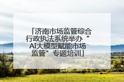 济南市场监管综合行政执法系统举办“AI大模型赋能市场监管”专题培训
