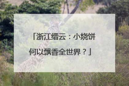 浙江缙云：小烧饼何以飘香全世界？
