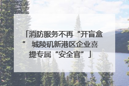 消防服务不再“开盲盒” 城陵矶新港区企业喜提专属“安全官”